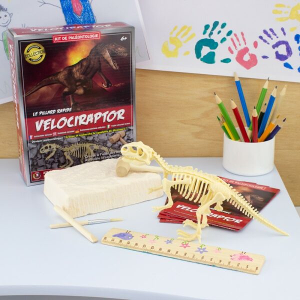 kit-velociraptor- kit archeologie - jouet - decouverte - thonon - jeux reves et jouets
