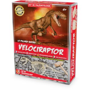 kit-velociraptor- kit archeologie - jouet - decouverte - thonon - jeux reves et jouets-2