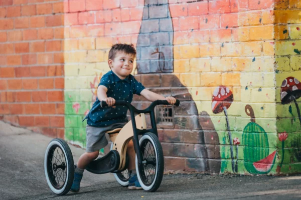 wishbone - cruise - draisienne - tricycle - vélo - apprentissage - thonon - haute savoie - 2