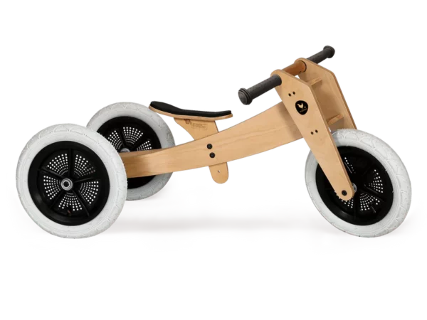 wishbone - draisienne - tricycle - vélo - apprentissage - thonon - haute savoie - 1