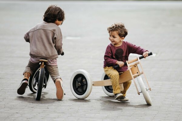 wishbone - draisienne - tricycle - vélo - apprentissage - thonon - haute savoie - 1