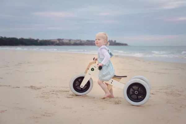 wishbone - draisienne - tricycle - vélo - apprentissage - thonon - haute savoie - 1