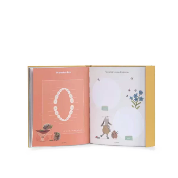 Livre_de_naissance_Trois_petits_lapins_Moulin_Roty_1_1