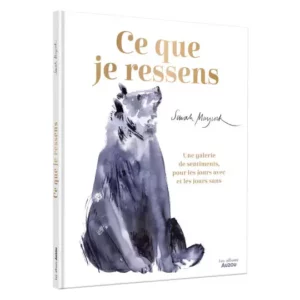 ce-que-je-ressens-livre-enfant-auzou