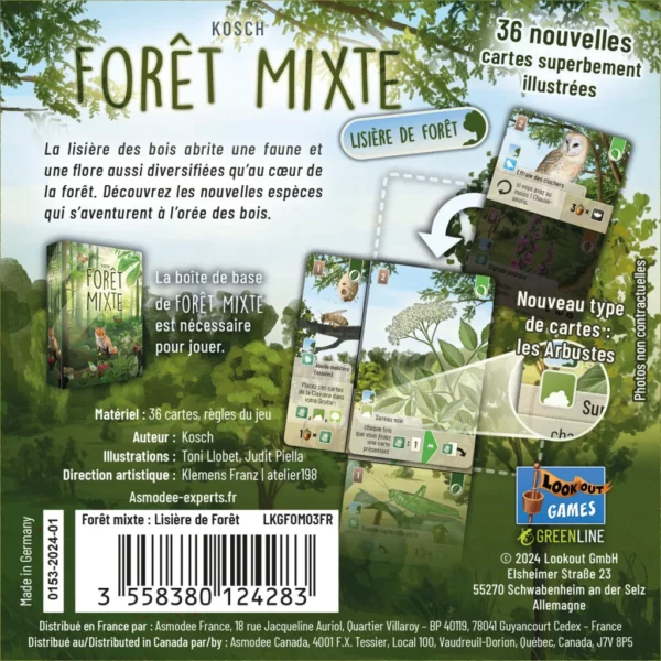 foret-mixte-lisiere-de-foret