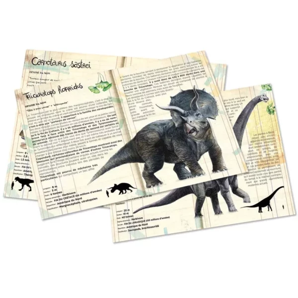 coffret-de-3-puzzles-dinosaures-avec-posters-museum-national-d-histoire-naturelle-vilac (1)