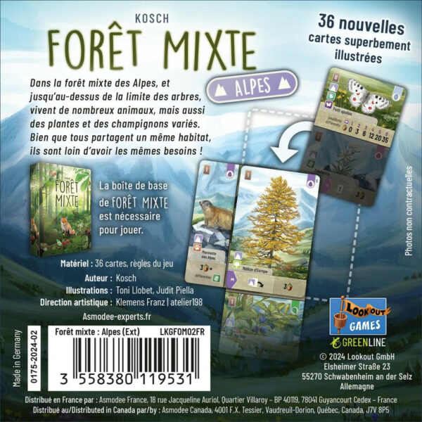 foret-mixte-alpes