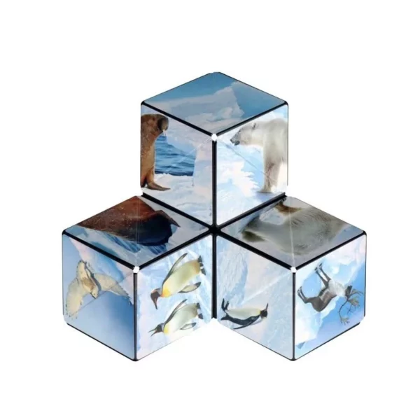 shashibo-arctic-fun-in-motion-toys (1)