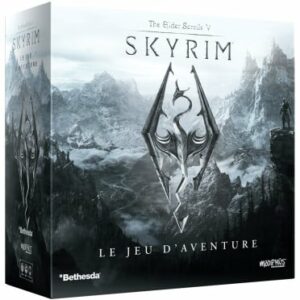 the-elder-scrolls-v-skyrim-le-jeu-d-aventure