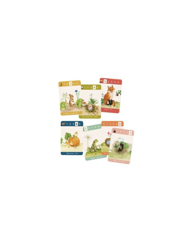 jeu-de-7-familles-le-jardin-moulin-roty--jeux-reves-et-jouets